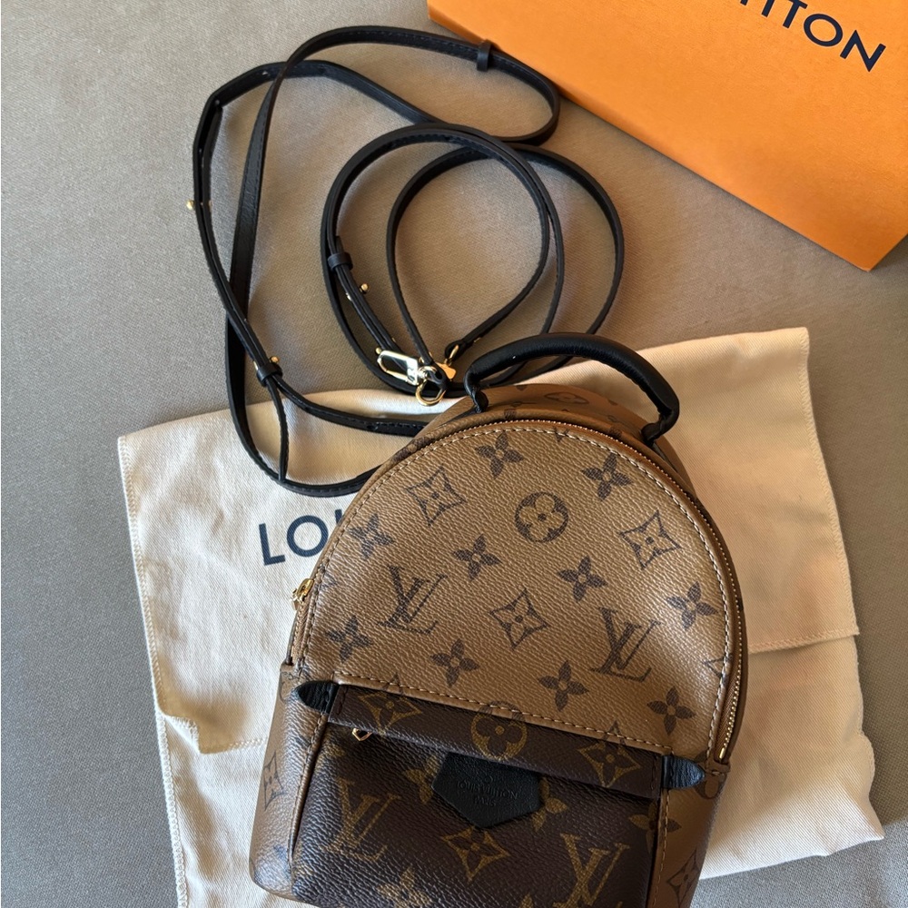Authentic Louis Vuitton Reverse Palm Springs Mini